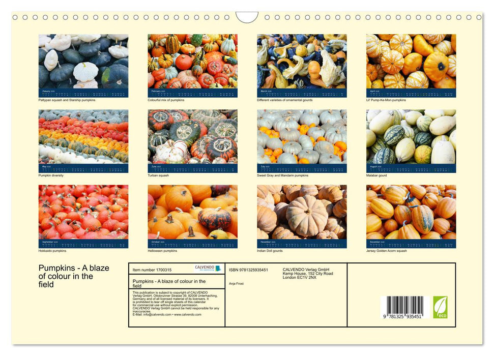 Pumpkins - A blaze of colour in the field (CALVENDO Monthly Calendar 2025)