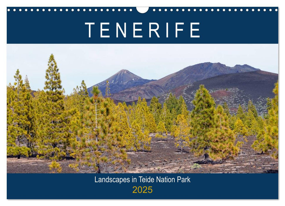 Tenerife - Landscapes of Teide National Park (CALVENDO Monthly Calendar 2025)