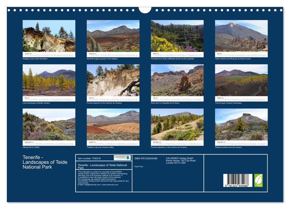 Tenerife - Landscapes of Teide National Park (CALVENDO Monthly Calendar 2025)