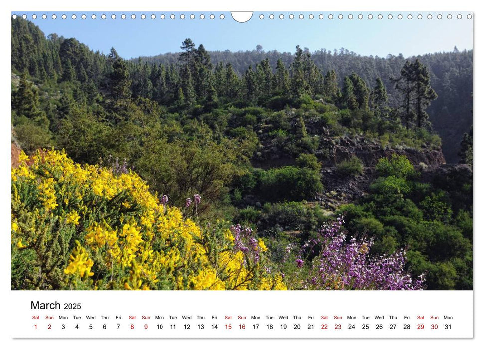 Tenerife - Landscapes of Teide National Park (CALVENDO Monthly Calendar 2025)