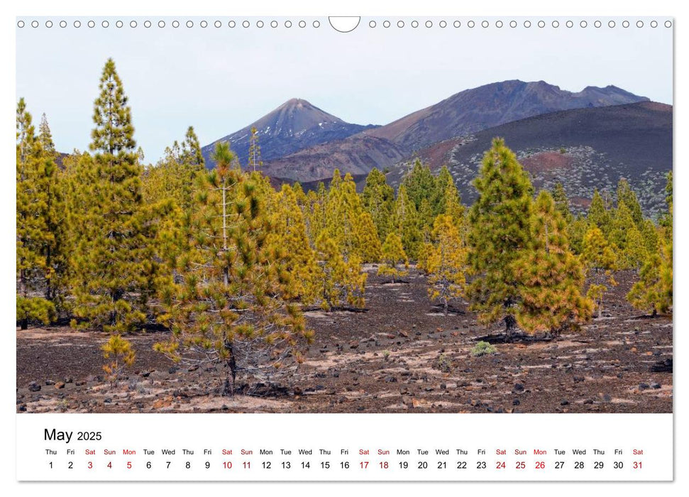 Tenerife - Landscapes of Teide National Park (CALVENDO Monthly Calendar 2025)