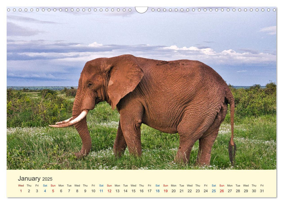 Wonderful Kenya (CALVENDO Monthly Calendar 2025)