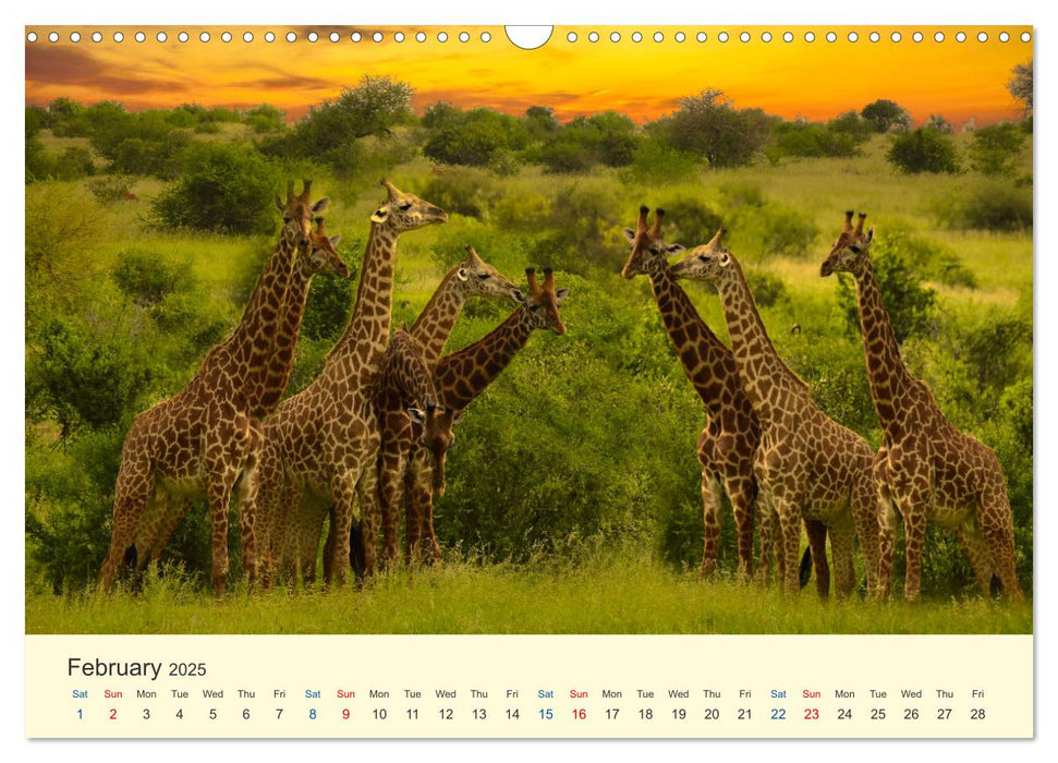 Wonderful Kenya (CALVENDO Monthly Calendar 2025)