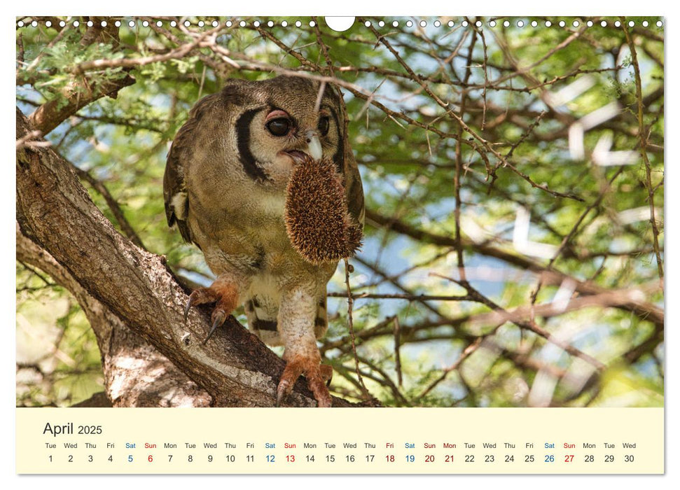 Wonderful Kenya (CALVENDO Monthly Calendar 2025)