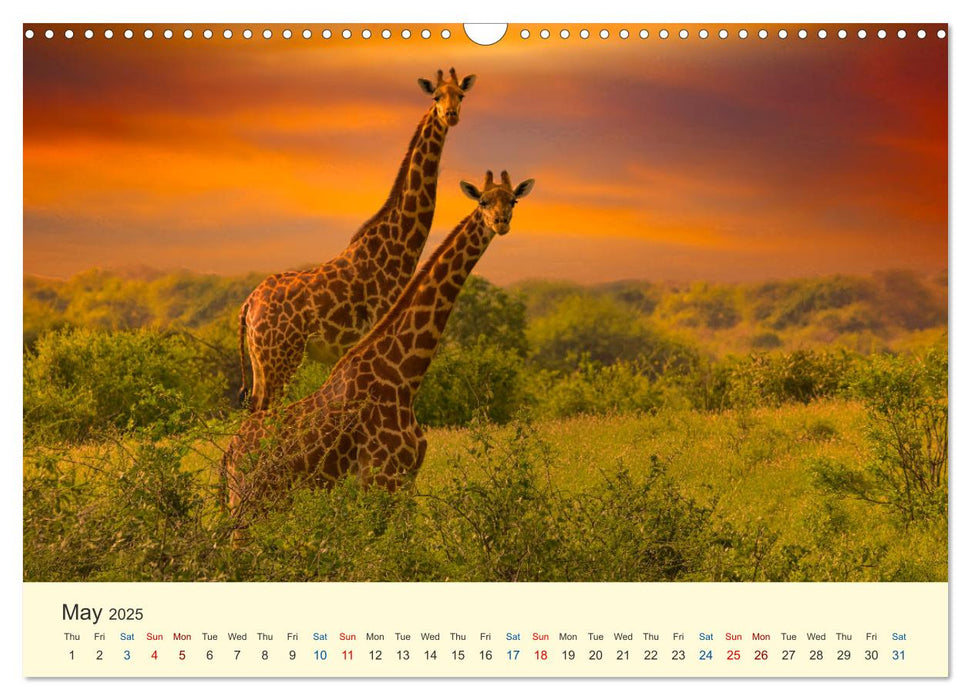 Wonderful Kenya (CALVENDO Monthly Calendar 2025)