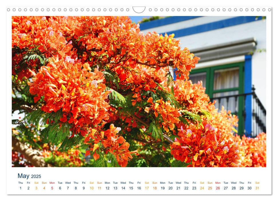 Gran Canaria - Island of dunes, gorges and picturesque villages (CALVENDO Monthly Calendar 2025)