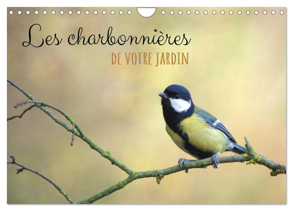 Les charbonnières de votre jardin (CALVENDO Calendrier mensuel 2025)