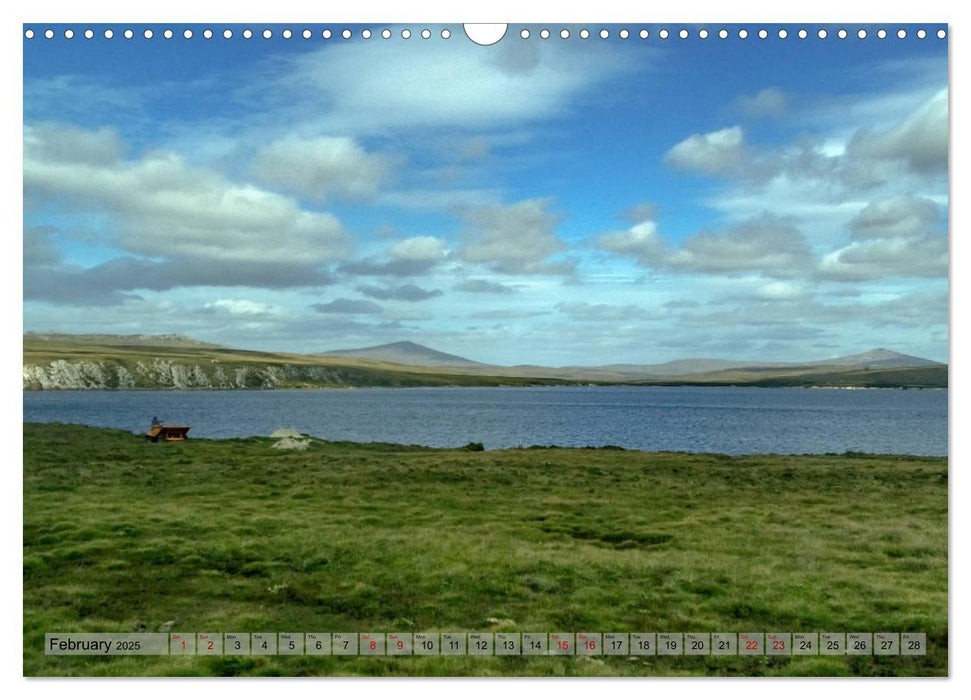 In the Falkland Islands (CALVENDO Monthly Calendar 2025)