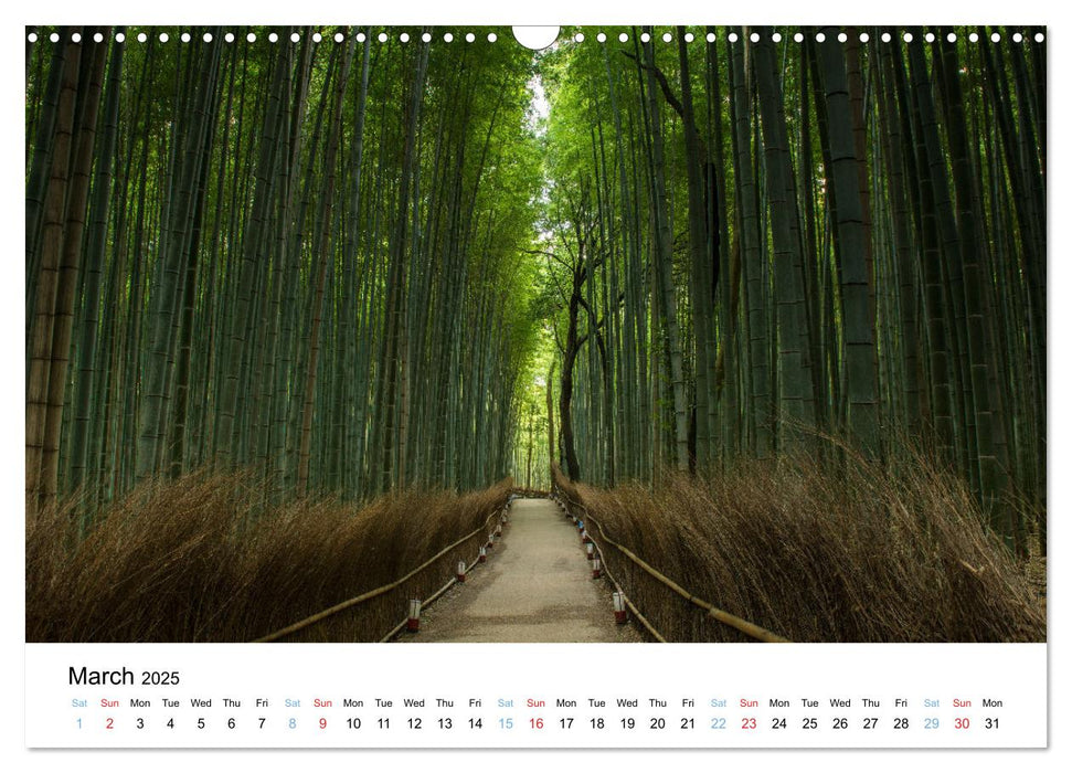 Japanese fall and foliage (CALVENDO Monthly Calendar 2025)