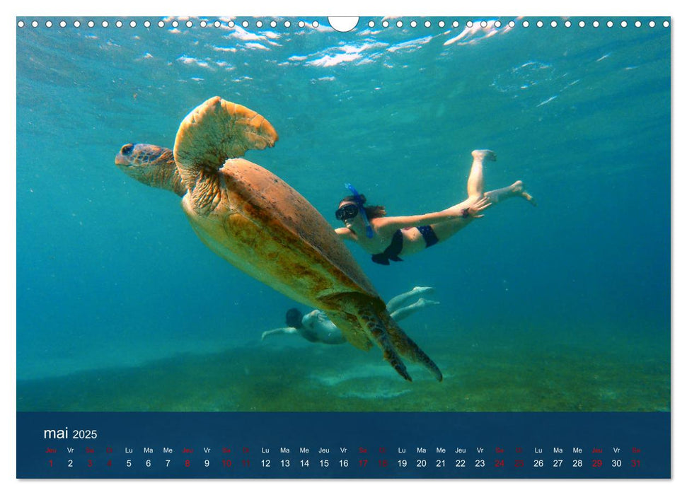 Autour de Nosy Be (CALVENDO Calendrier mensuel 2025)