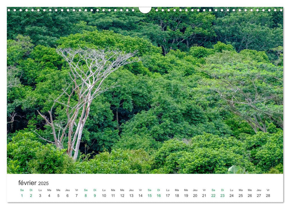 Magnifique île Maurice (CALVENDO Calendrier mensuel 2025)