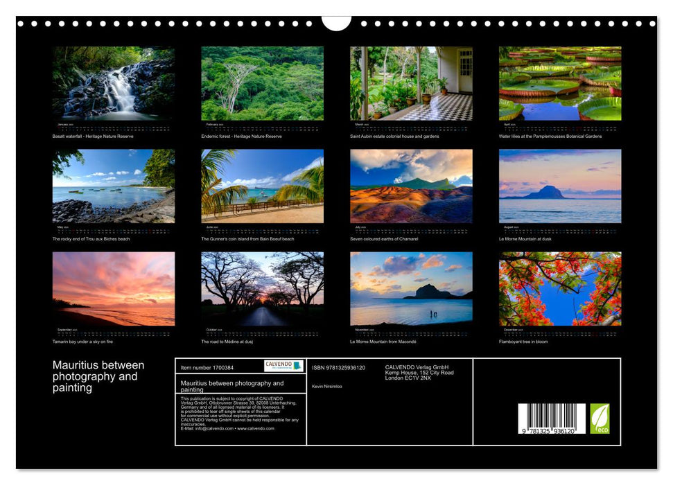 Mauritius between photography and painting (CALVENDO Monthly Calendar 2025)