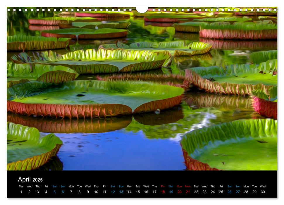 Mauritius between photography and painting (CALVENDO Monthly Calendar 2025)