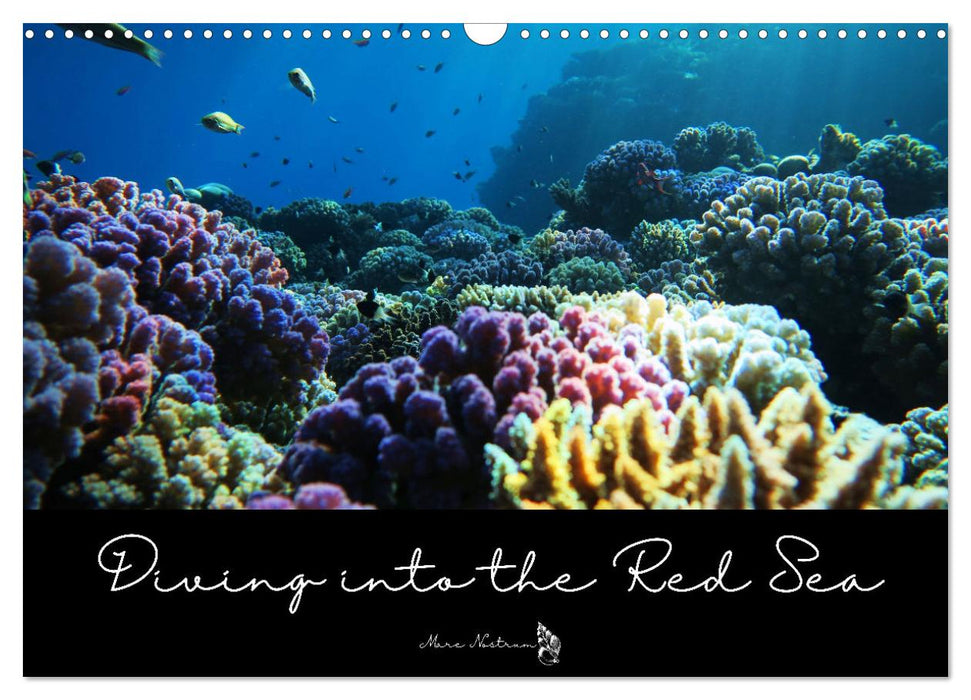 Diving into the Red Sea (CALVENDO Monthly Calendar 2025)