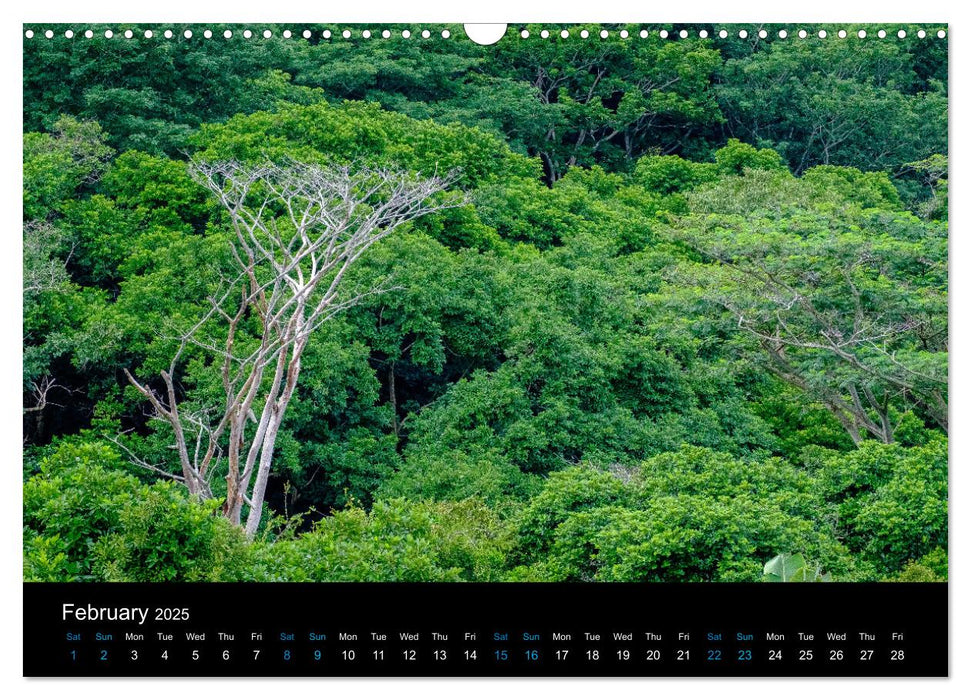 Beautiful Mauritius (CALVENDO Monthly Calendar 2025)