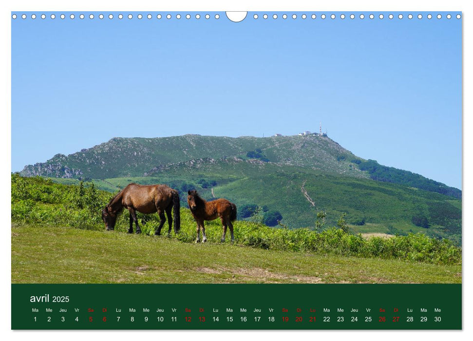 Montagnes du Pays Basque (CALVENDO Calendrier mensuel 2025)