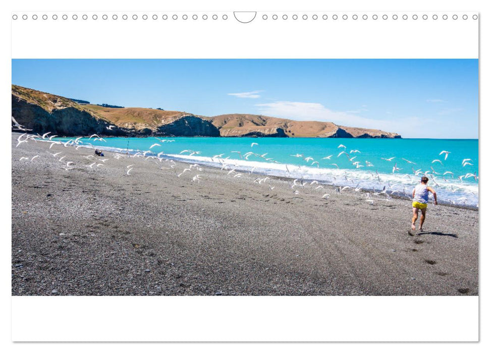 A journey through New Zealand (CALVENDO Monthly Calendar 2025)