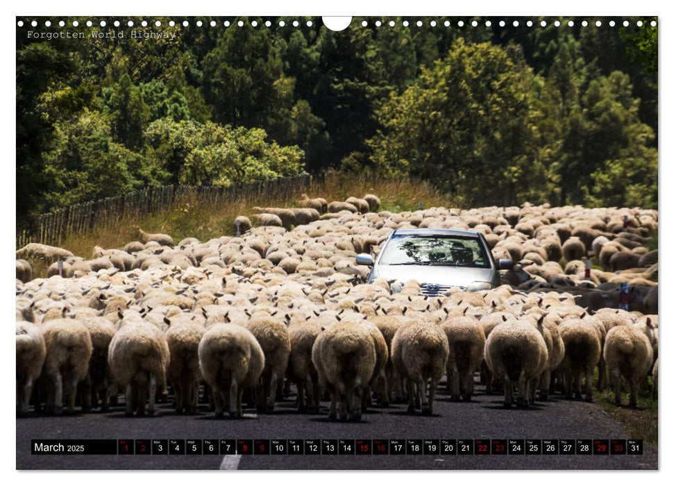 A journey through New Zealand (CALVENDO Monthly Calendar 2025)