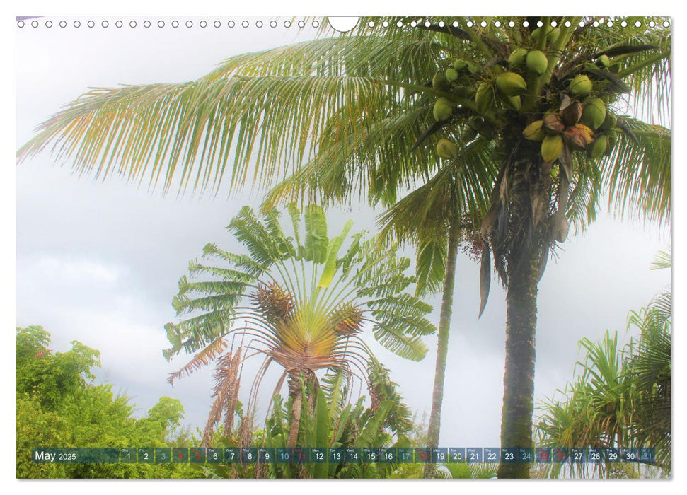 Big Island - Hawaii (CALVENDO Monthly Calendar 2025)