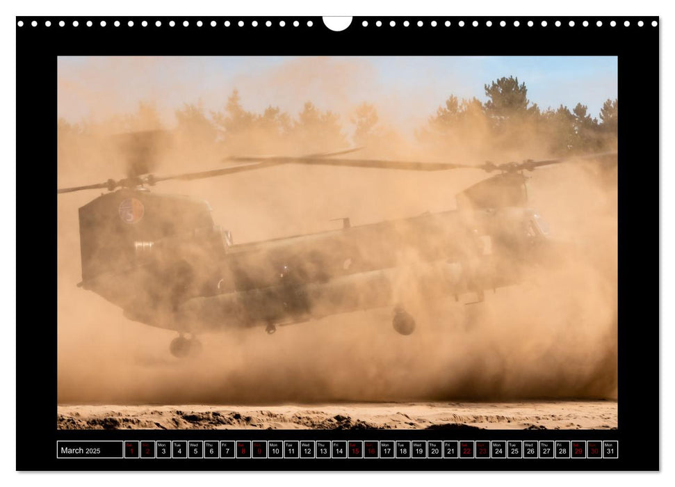 Military helicopters (CALVENDO Monthly Calendar 2025)