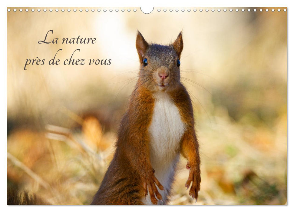 La nature près de chez vous (CALVENDO Calendrier mensuel 2025)