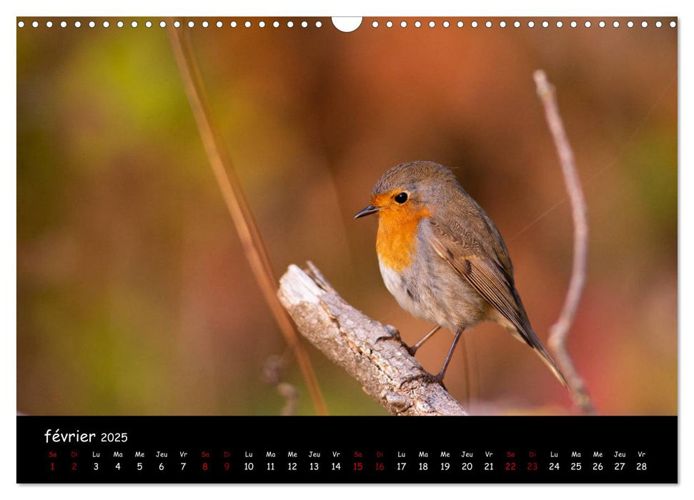 La nature près de chez vous (CALVENDO Calendrier mensuel 2025)