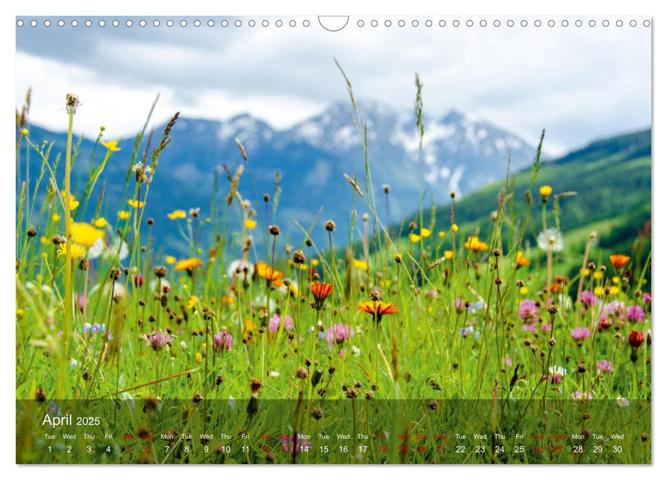 German and Austrian Alps (CALVENDO Monthly Calendar 2025)