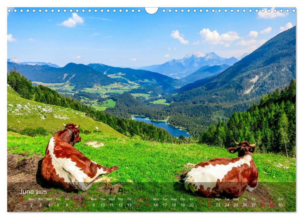 German and Austrian Alps (CALVENDO Monthly Calendar 2025)