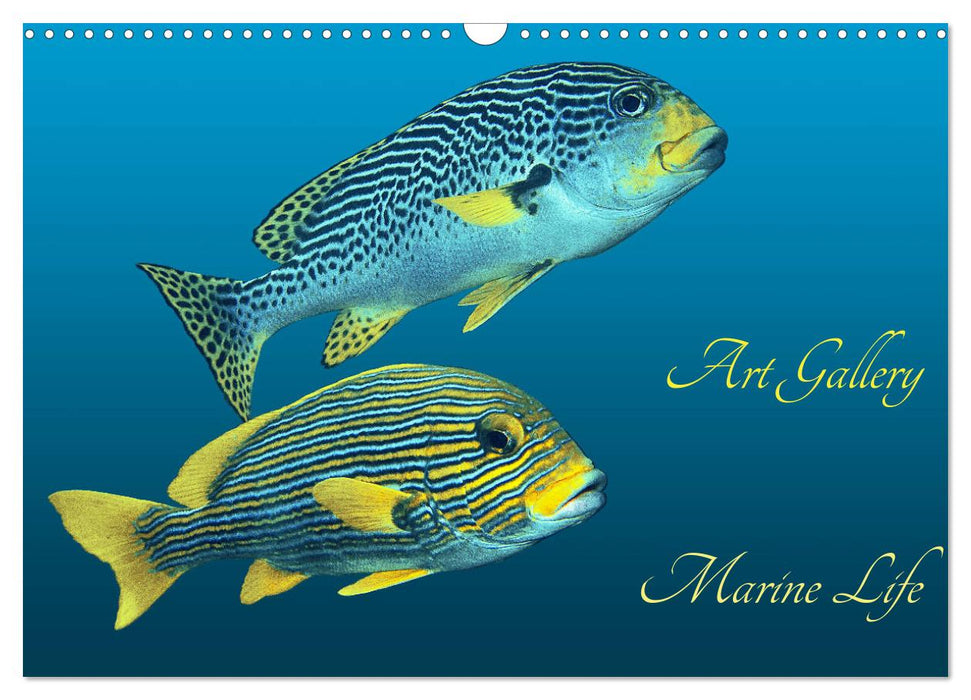 Art Gallery Marine Life (CALVENDO Monthly Calendar 2025)