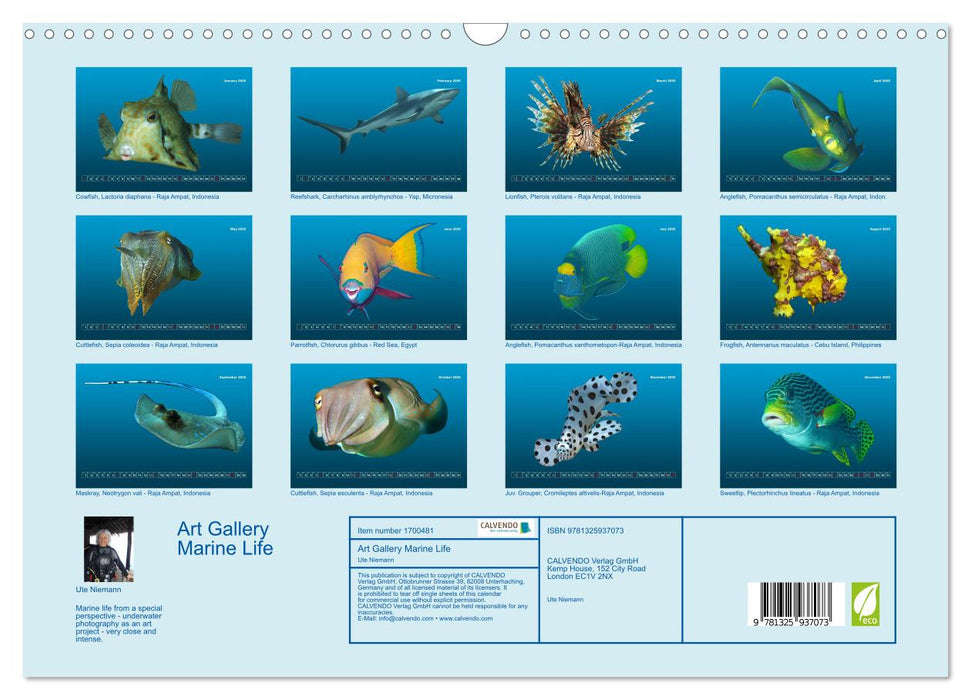 Art Gallery Marine Life (CALVENDO Monthly Calendar 2025)