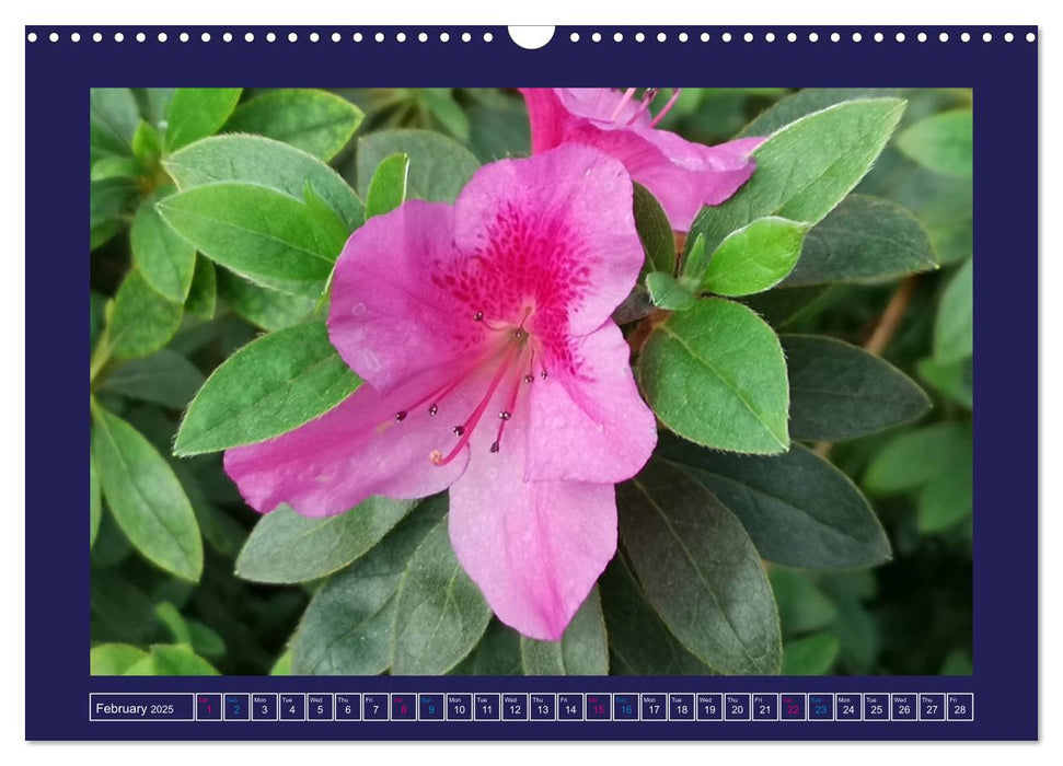 Mexican Flower Market - Xochimilco (CALVENDO Monthly Calendar 2025)