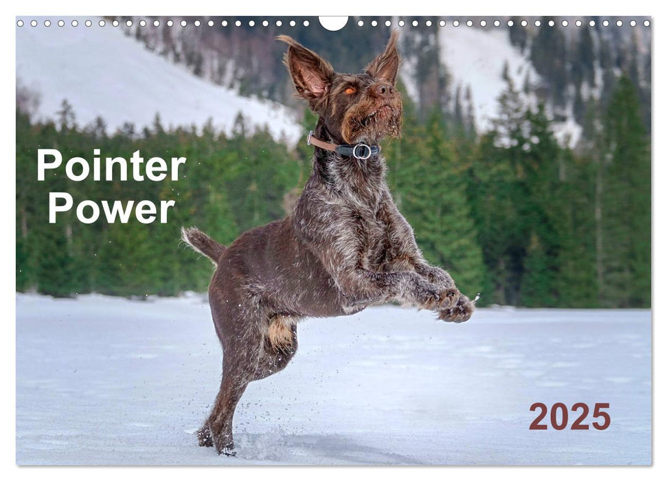 Pointer Power (CALVENDO Monthly Calendar 2025)