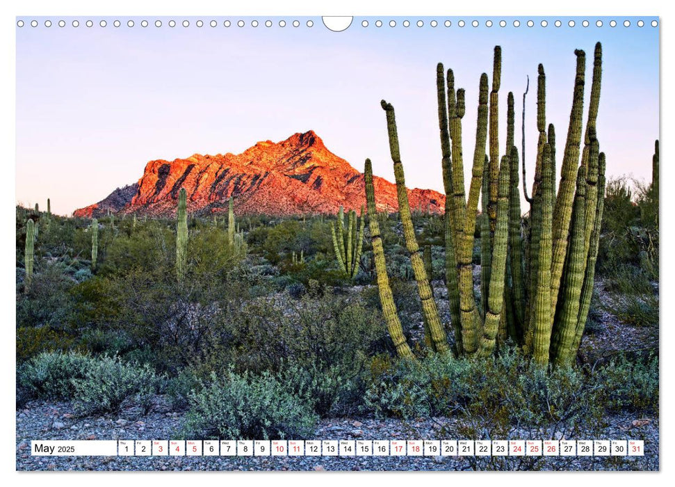 USA The American Southwest - Canyons and deserts (CALVENDO Monthly Calendar 2025)