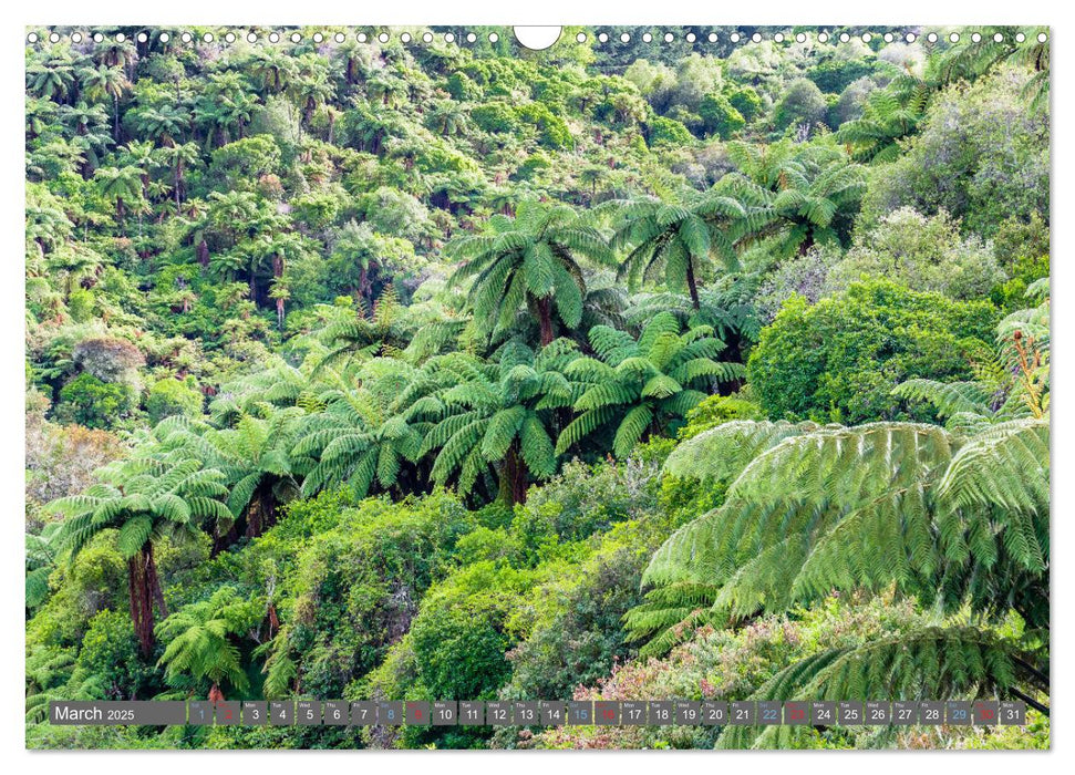 A journey from Auckland to Queenstown (CALVENDO Monthly Calendar 2025)