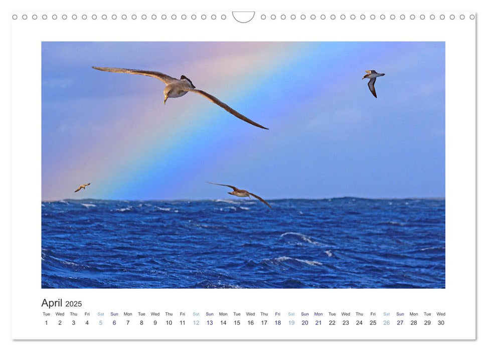 From Pico Island to Sao Jorge Island (CALVENDO Monthly Calendar 2025)