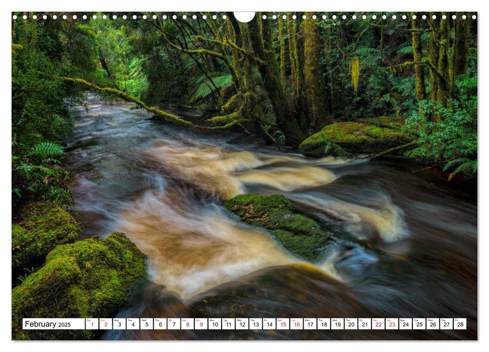 Tasmania Rainforest, waterfalls and rocky shores (CALVENDO Monthly Calendar 2025)