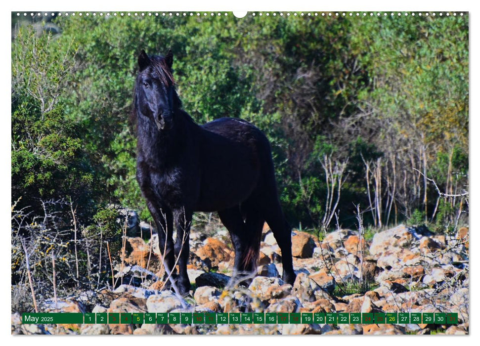 European Island Sardinia (CALVENDO Premium-Calendar 2025)