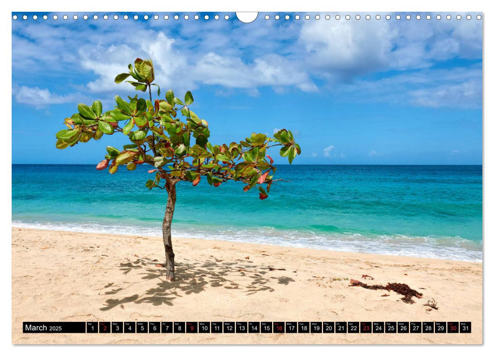 The Caribbean - St. Lucia, The Grenadines and Grenada (CALVENDO Monthly Calendar 2025)