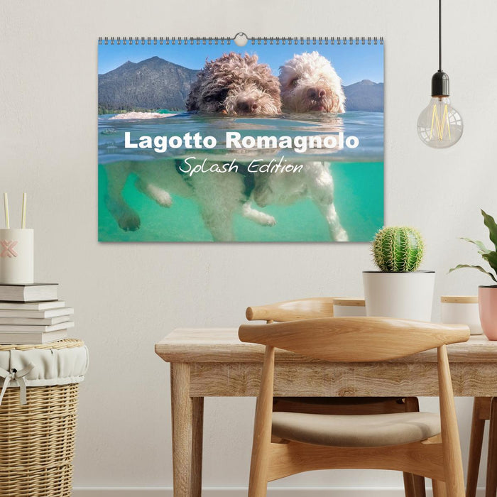 Lagotto Romagnolo Splash Edition (CALVENDO Monthly Calendar 2025)