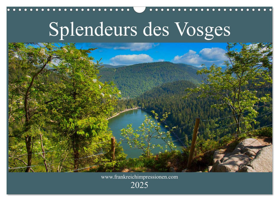 Splendeurs des Vosges (CALVENDO Calendrier mensuel 2025)