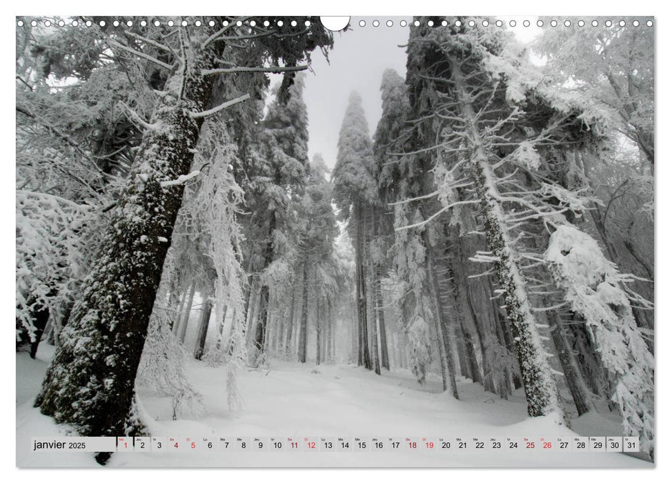 Splendeurs des Vosges (CALVENDO Calendrier mensuel 2025)