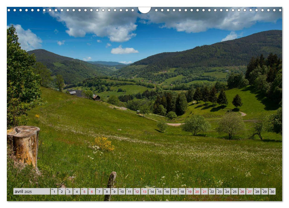 Splendeurs des Vosges (CALVENDO Calendrier mensuel 2025)