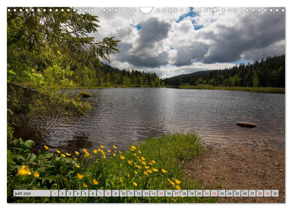 Splendeurs des Vosges (CALVENDO Calendrier mensuel 2025)