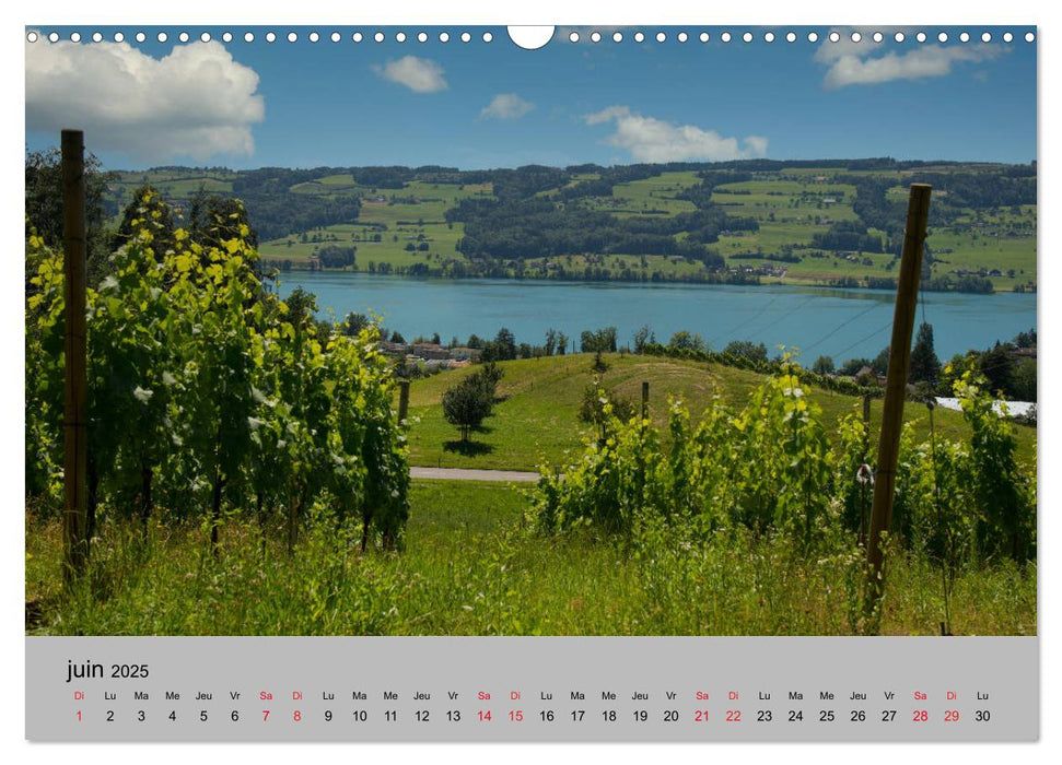 La Suisse saisissante (CALVENDO Calendrier mensuel 2025)