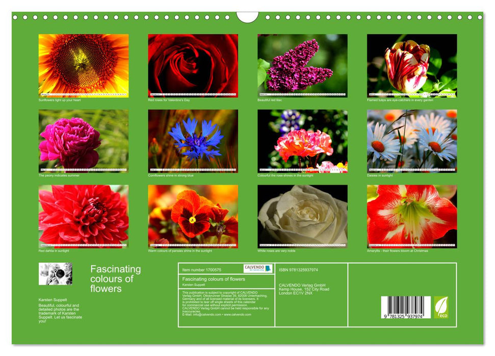 Fascinating colours of flowers (CALVENDO Monthly Calendar 2025)