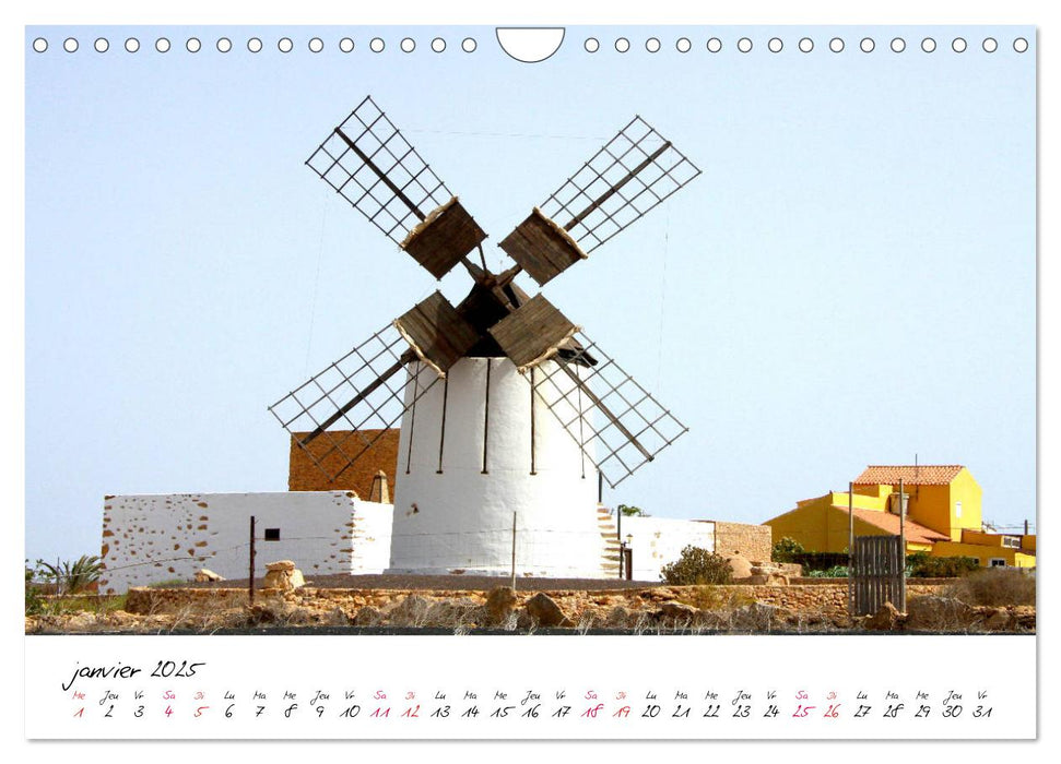 Fuerteventura - l'île de rêve des Canaries (CALVENDO Calendrier mensuel 2025)