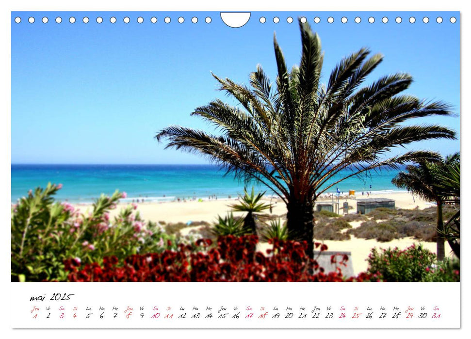 Fuerteventura - l'île de rêve des Canaries (CALVENDO Calendrier mensuel 2025)