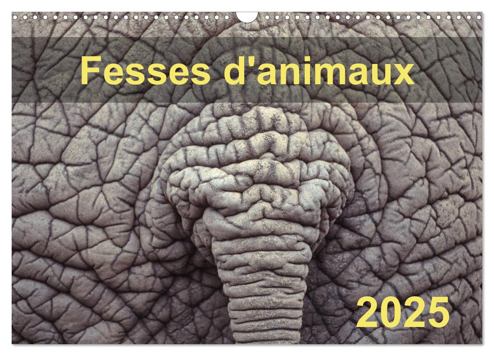 Fesses d'animaux (CALVENDO Calendrier mensuel 2025)