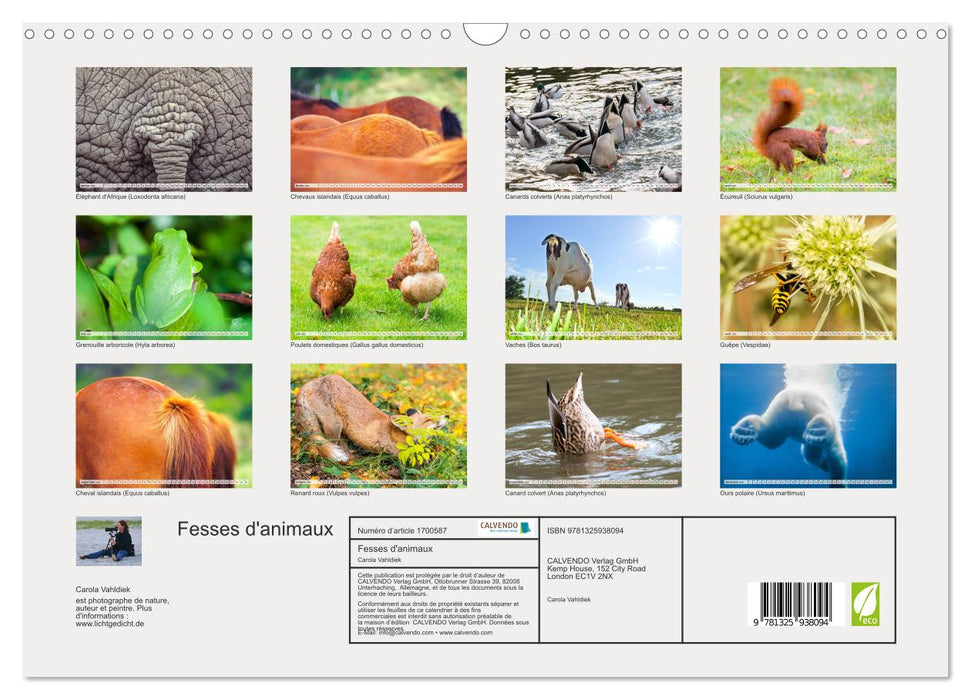 Fesses d'animaux (CALVENDO Calendrier mensuel 2025)