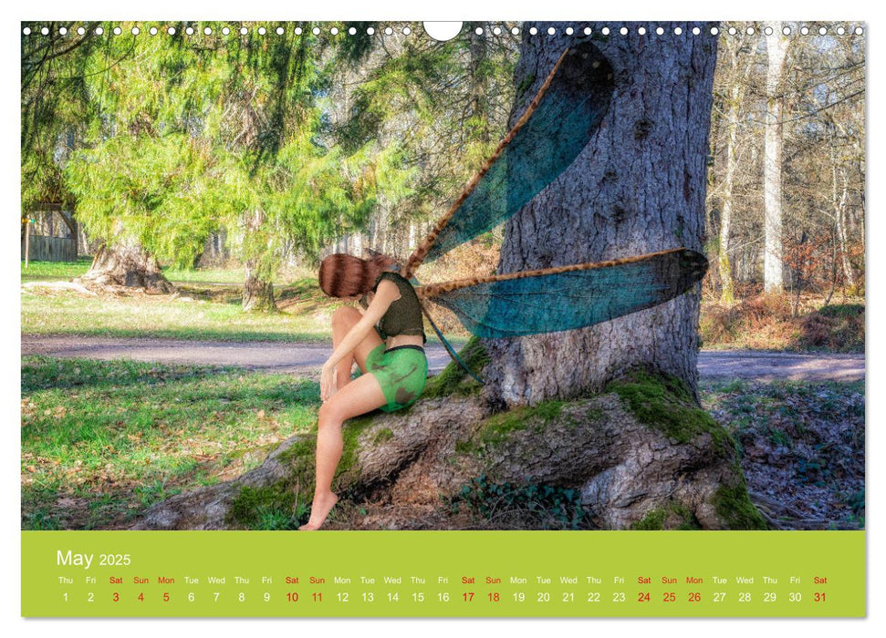 In fairyland (CALVENDO Monthly Calendar 2025)